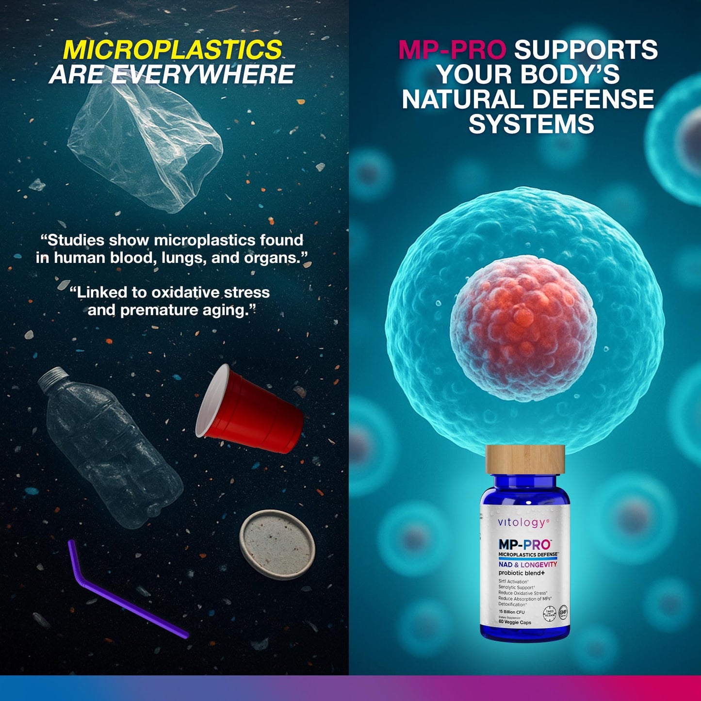 Vitology MP-PRO Microplastics Defense | 15 Billion CFU Probiotic + Antioxidant Blend | NMN, NAC, Glutathione, Resveratrol & Charcoal | Supports Cellular Detox, Longevity & Gut Health – 60 Capsules Vitology buy supplements Au