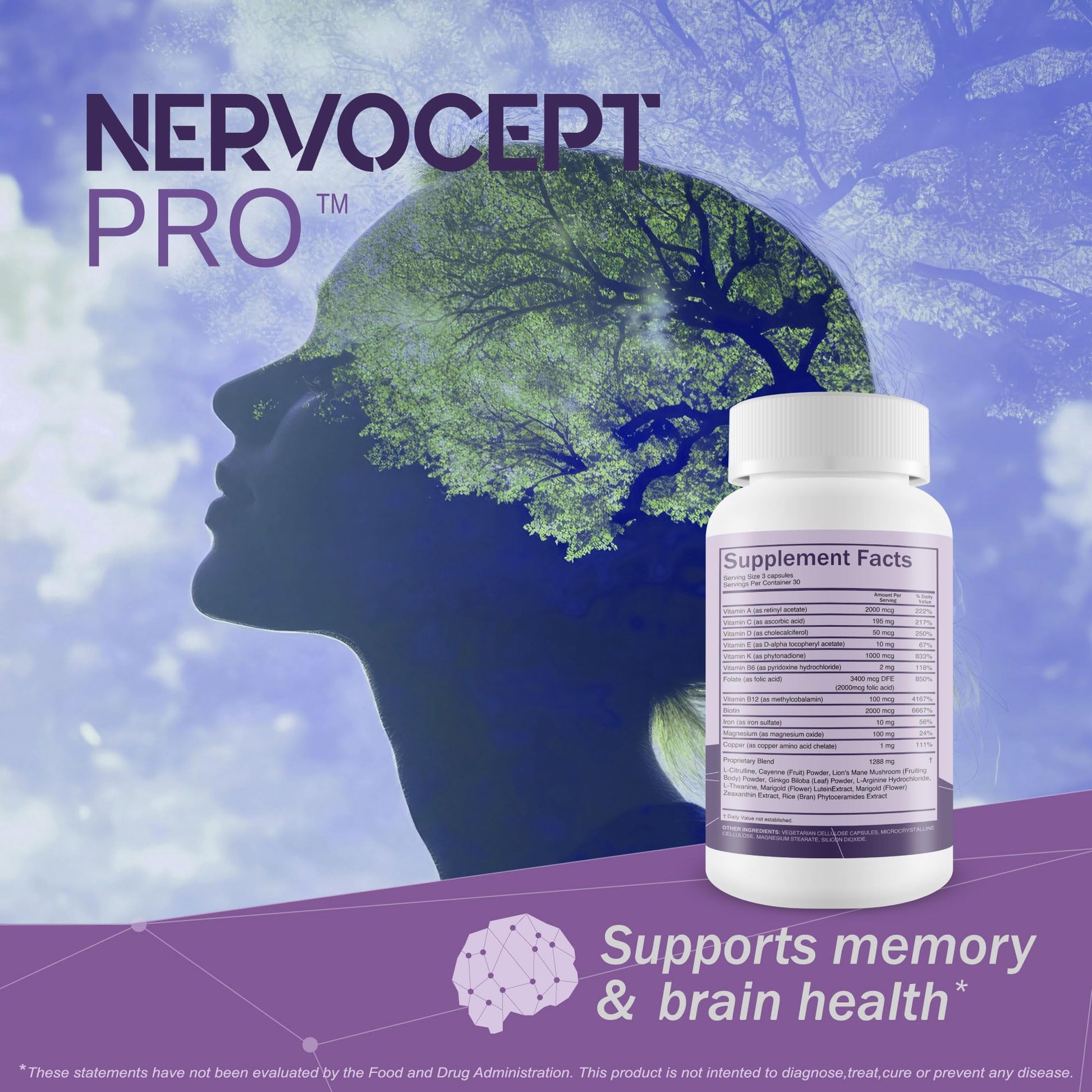 Nervocept Pro - Our Best Nerve Support Capsules - Lions Mane, Magnesium, Vitamin B For Nerve Repair - Vitamin D for Nerves - Lions Mane Memory & Nerve Support - Vitamin B12 Nerve Support True You Health buy supplements Au