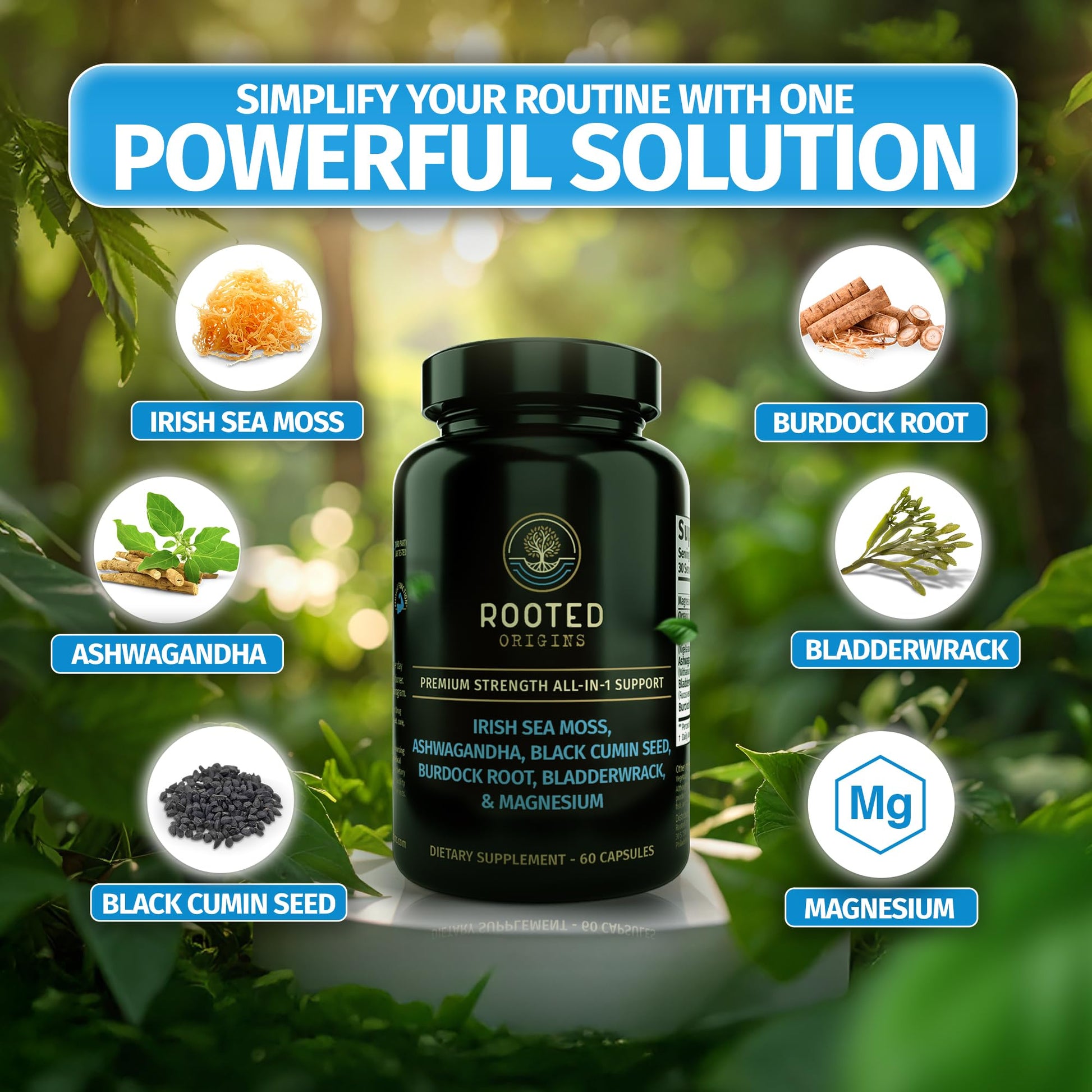 Rooted Origins Sea Moss Capsules – Irish Sea Moss Advanced, Magnesium, Ashwaghanda, Black Seed Oil, Burdock Root & Bladderwrack – Immune Support, Gut Health, Energy, & More – 60 Capsules Rooted OriginsBuy Supplements Australia