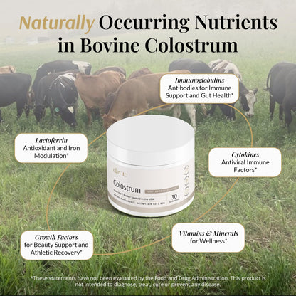 Elavite Bovine Colostrum Powder (Unflavored) Grass Fed Colostrum Supplement for Gut Health, Immune Support Healthy Hair, Skin & Nails - 30 Servings ElaviteBuy Supplements Australia