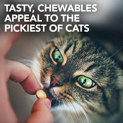 Vet's Best Cat Urinary Supplement, Urinary Tract Support Chewable for Cats, Supports A Healthy Urinary Tract in Cats, 60 Chewable Tablets Vet's BestBuy Supplements Australia