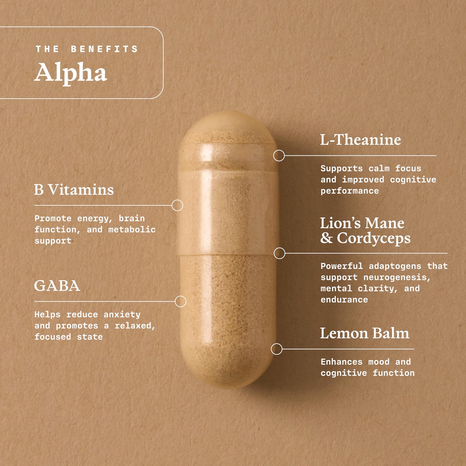 Ultra Life Sport - Alpha Nootropic - 30 Capsule Body and Brain Supplements for Memory and Focus - L-Theanine, B Vitamins, Lion's Mane, Cordyceps Mushrooms, Vitamin D3, K2 MK-7, Lemon Balm and Ginkgo Ultra Life Sport buy supplements Au