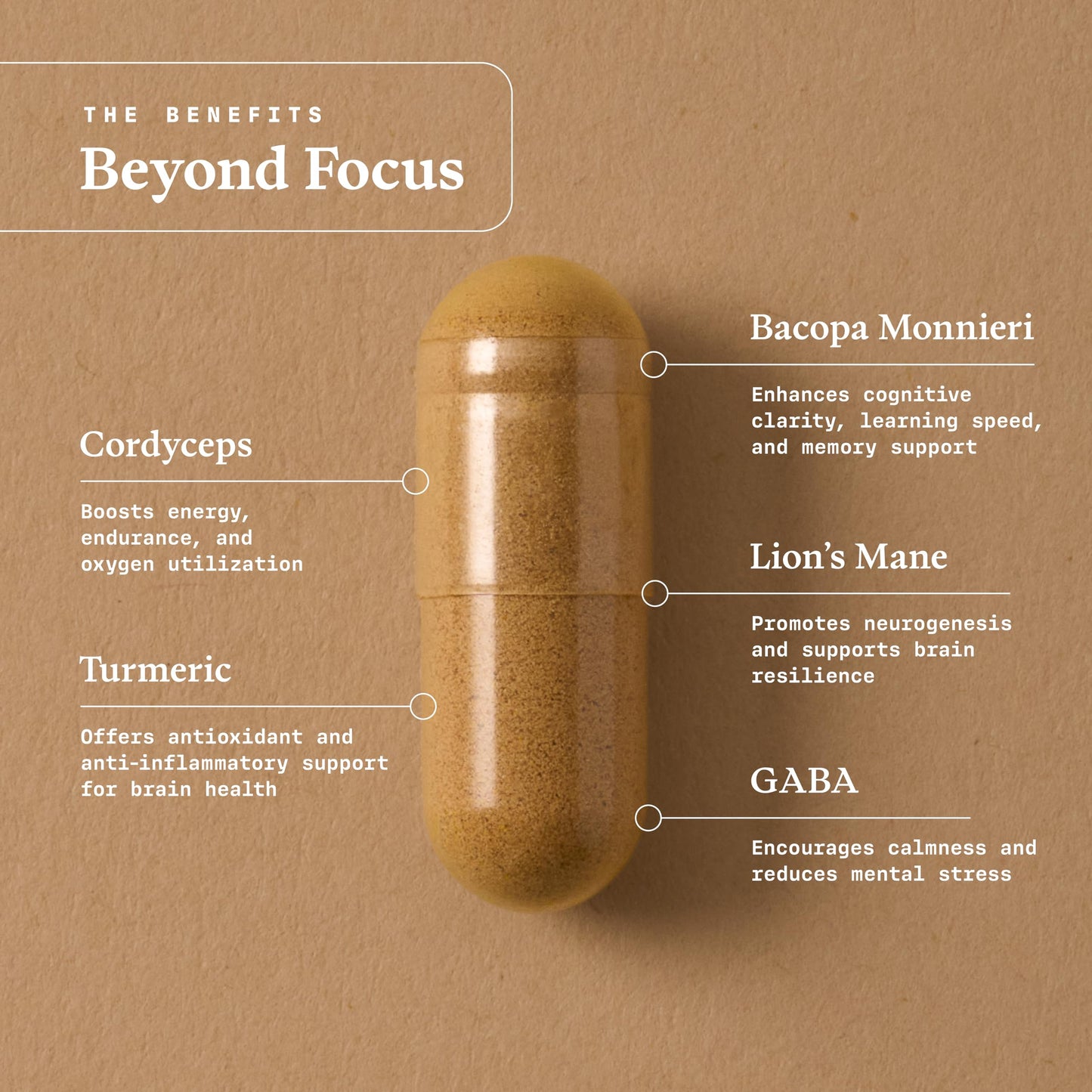 Ultra Life Sport - Beyond Focus Organic Mushroom Supplement - 30 Capsule Brain Supplements for Memory and Focus - 100% Vegan, Non-GMO - Memory Booster with Bacopa, Cordyceps, & Lion’s Mane Ultra Life Sport buy supplements Au