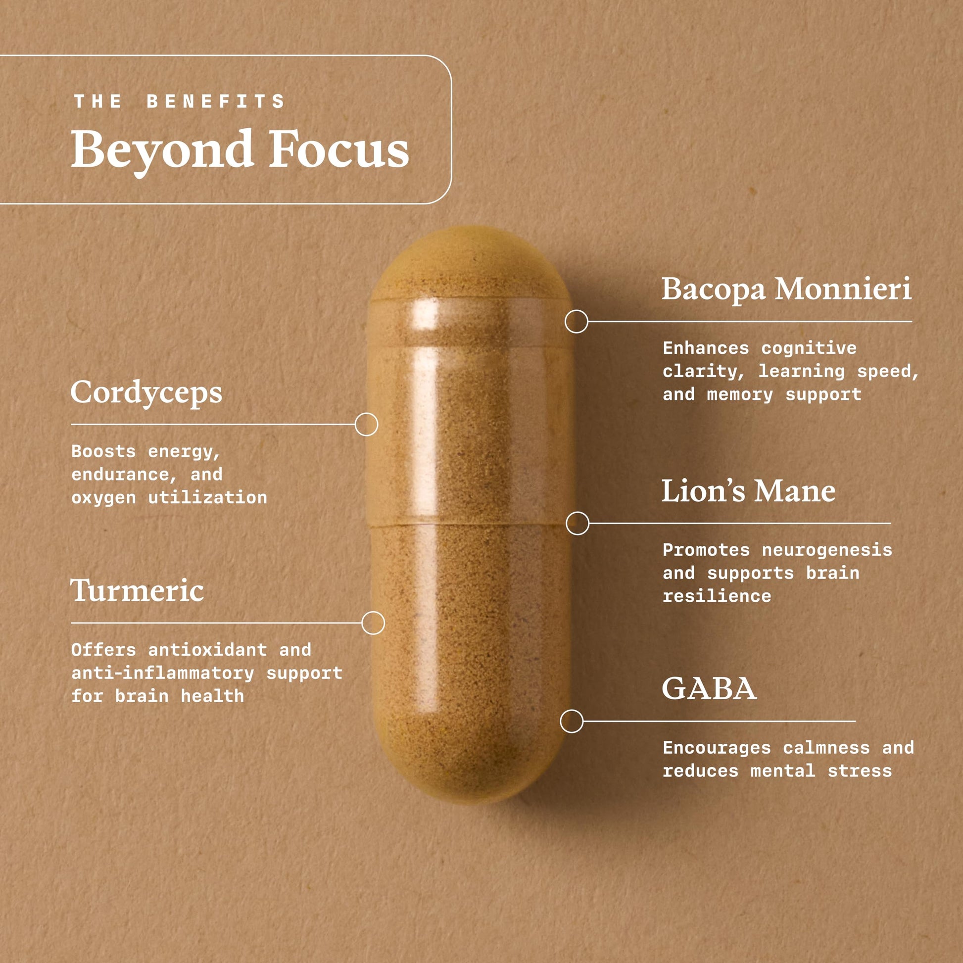 Ultra Life Sport - Beyond Focus Organic Mushroom Supplement - 30 Capsule Brain Supplements for Memory and Focus - 100% Vegan, Non-GMO - Memory Booster with Bacopa, Cordyceps, & Lion’s Mane Ultra Life Sport buy supplements Au