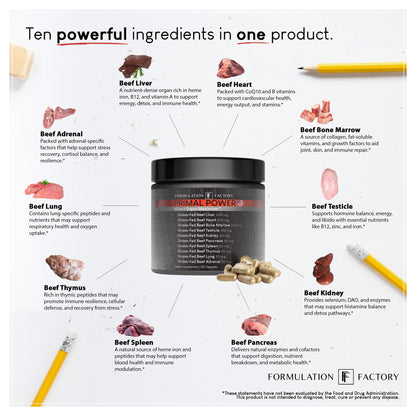 Formulation Factory Primal Power 10-in-1 Grass-Fed Organ Supplement with Beef Liver, Heart, Marrow, Testicle, Kidney, Supports Vitality, Hormones, Energy, Immunity (4 Month Supply, 240 Capsules) Formulation Factory buy supplements Au