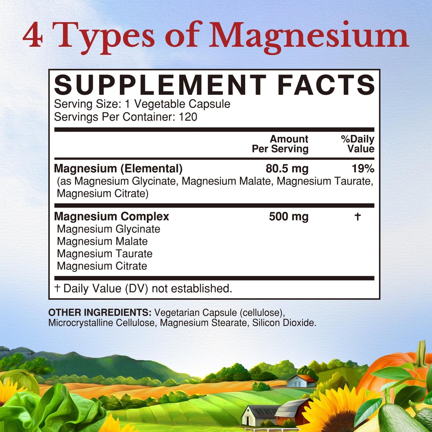 Vitalitown Magnesium Complex Supplement 500mg - NSF Certified Magnesium Glycinate, Malate, Taurate & Citrate - Chelated High Absorption & Gentle on Stomach - Vegan Non-GMO 120 Capsules VITALITOWN buy supplements Au