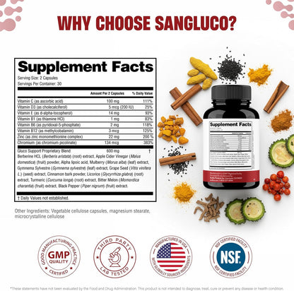 Blood Sugar Support Complex Supplement | Supports Healthy Blood Sugar Levels Already Within Normal Range | With Berberine, Cinnamon, Chromium, Turmeric