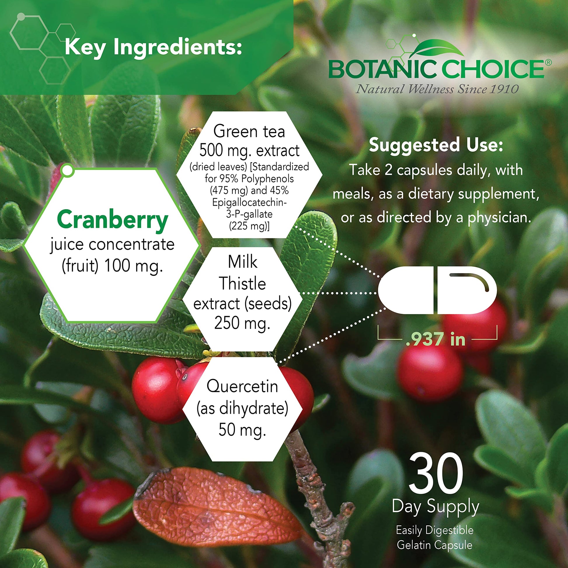 Botanic Choice Ultra Kidney Complex - Optimal Kidney Support with Milk Thistle, Green Tea & More- 60 Capsules Botanic ChoiceBuy Supplements Australia