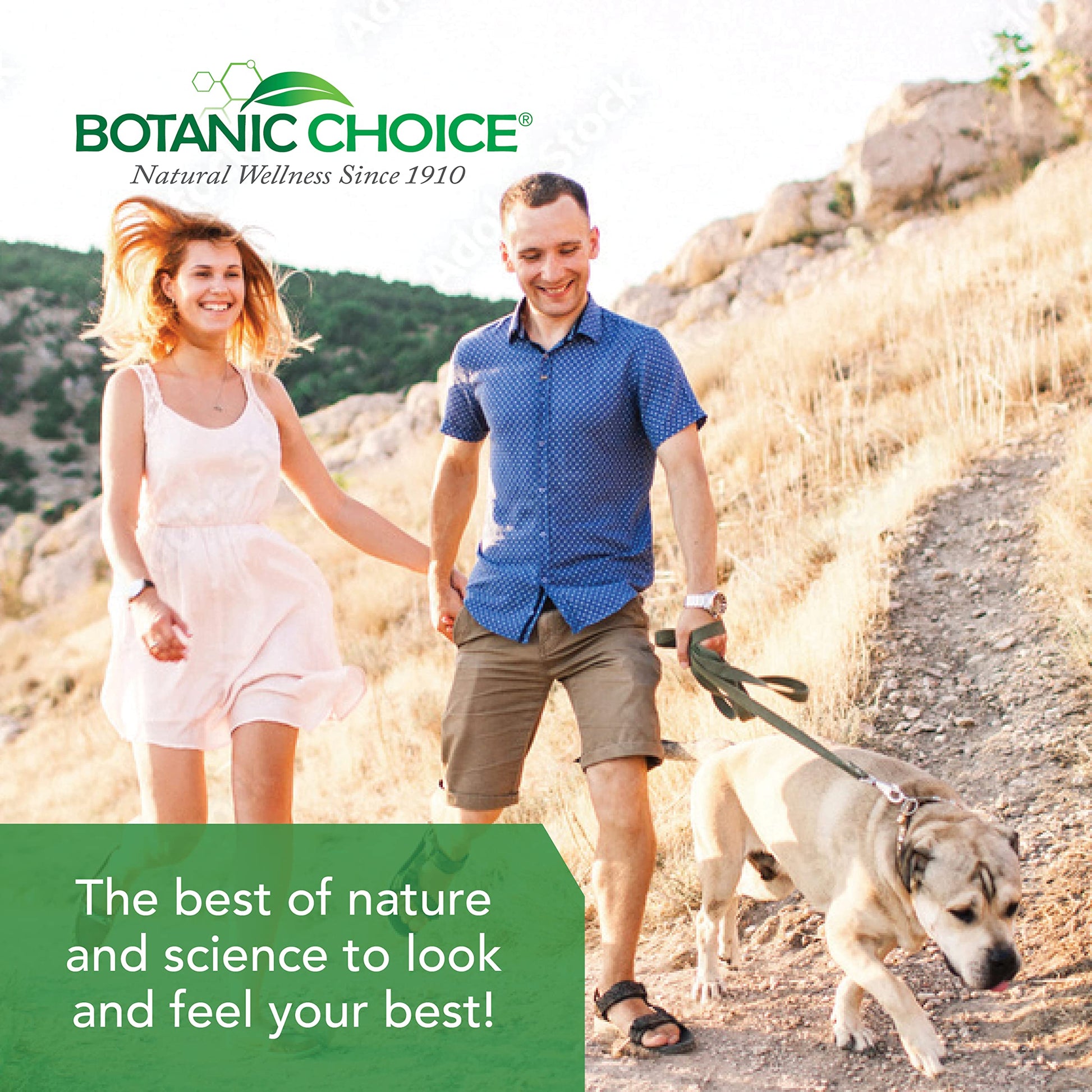 Botanic Choice Ultra Kidney Complex - Optimal Kidney Support with Milk Thistle, Green Tea & More- 60 Capsules Botanic ChoiceBuy Supplements Australia